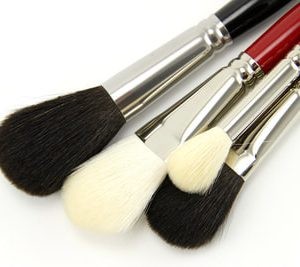 Silver Brush Mops