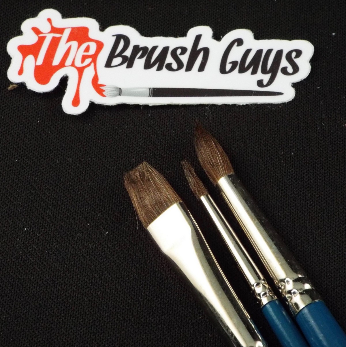 Camel Hair Paintbrush Set