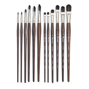 Special Order Raphael Textura D Brush Set
